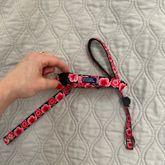 Gently Used PetSafe Gentle Leader - Picture 2 of 3